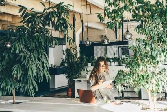 Creating the Right Work Environment for Your Occupiers: Office Design Trends and Tips