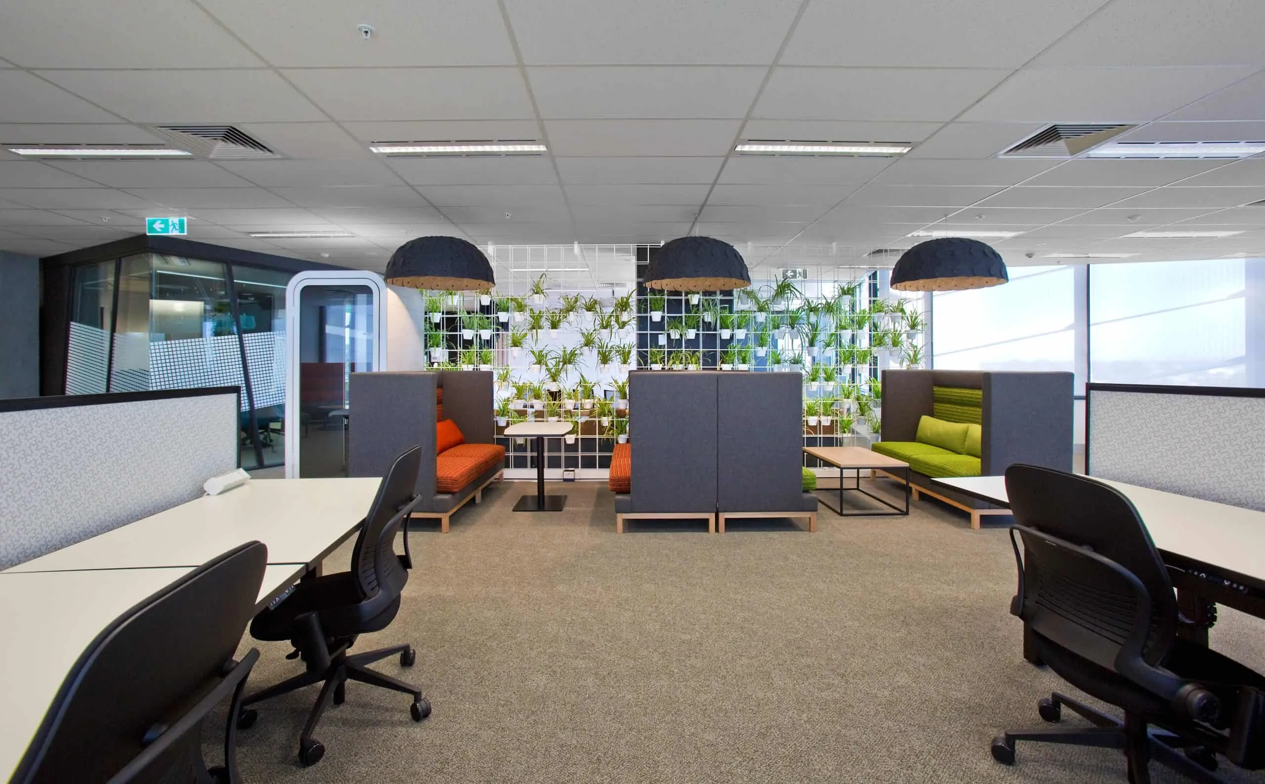 iHarvest Coworking Sunshine